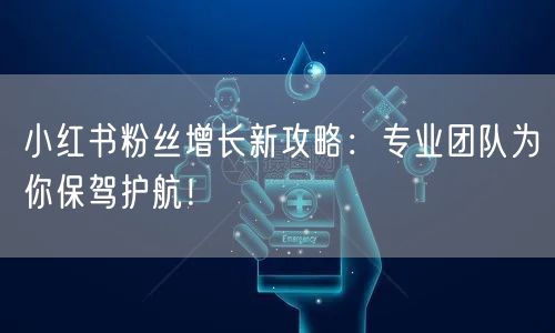 小红书粉丝增长新攻略：专业团队为你保驾护航！