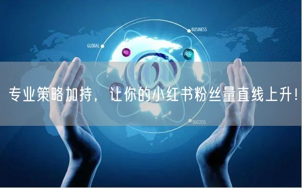 专业策略加持，让你的小红书粉丝量直线上升！