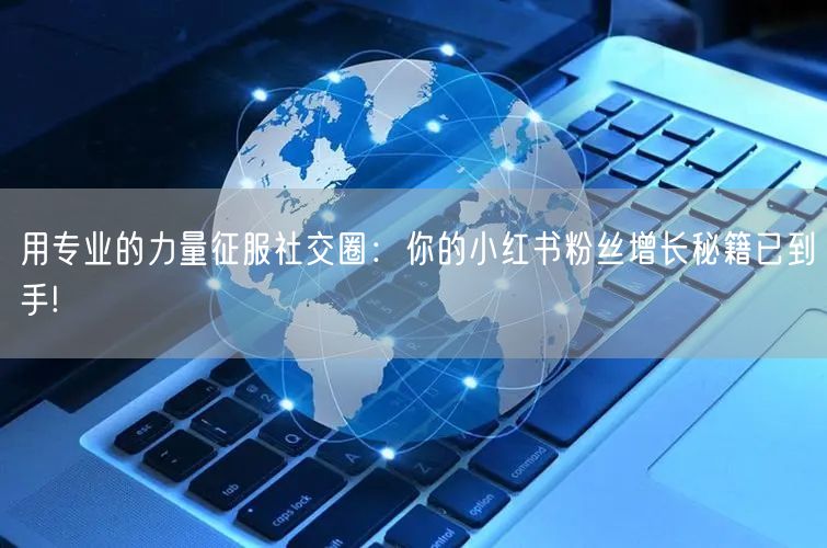 用专业的力量征服社交圈：你的小红书粉丝增长秘籍已到手!