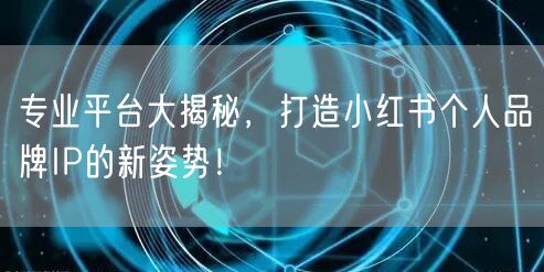 专业平台大揭秘，打造小红书个人品牌IP的新姿势！