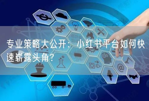 专业策略大公开：小红书平台如何快速崭露头角？