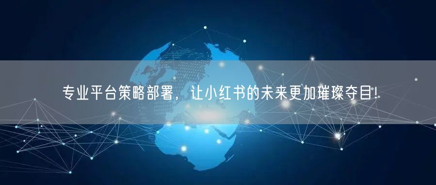 专业平台策略部署，让小红书的未来更加璀璨夺目！