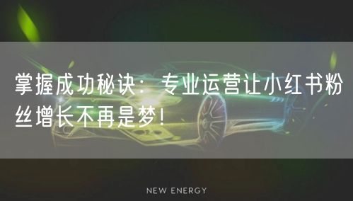 掌握成功秘诀：专业运营让小红书粉丝增长不再是梦！
