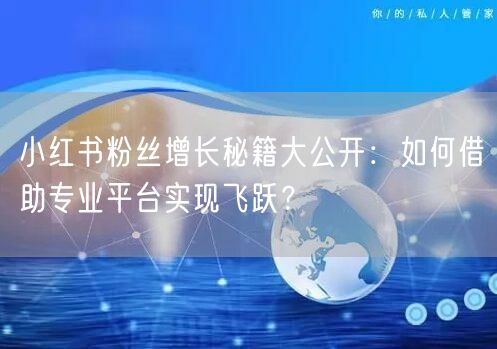 小红书粉丝增长秘籍大公开：如何借助专业平台实现飞跃？