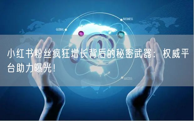 小红书粉丝疯狂增长背后的秘密武器：权威平台助力曝光！