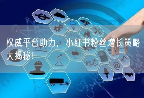 权威平台助力，小红书粉丝增长策略大揭秘！