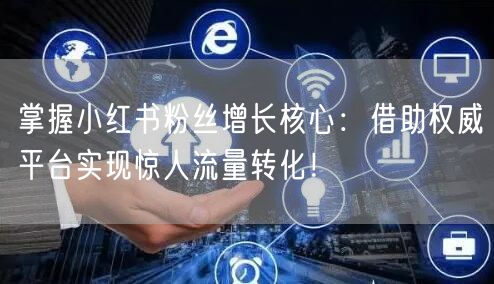 掌握小红书粉丝增长核心：借助权威平台实现惊人流量转化！