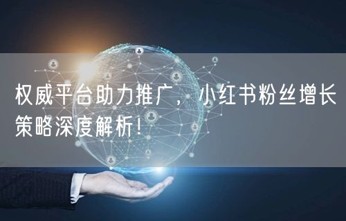 权威平台助力推广，小红书粉丝增长策略深度解析！