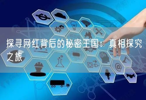 探寻网红背后的秘密王国：真相探究之旅