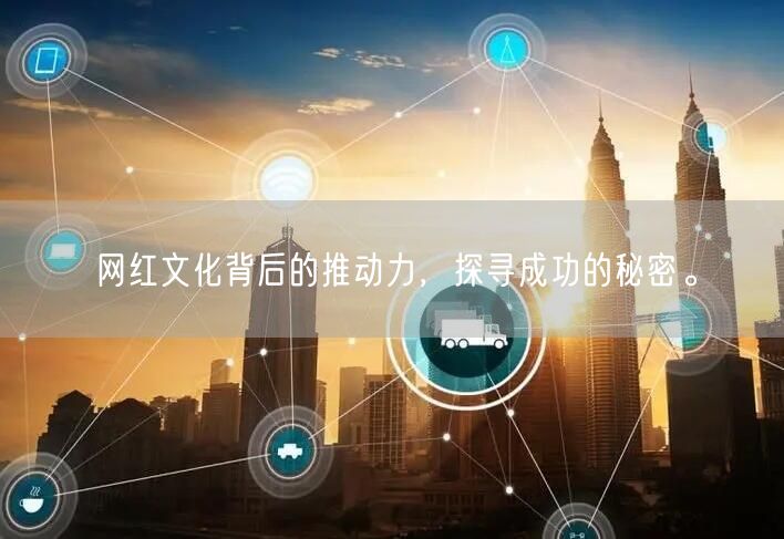 网红文化背后的推动力，探寻成功的秘密。
