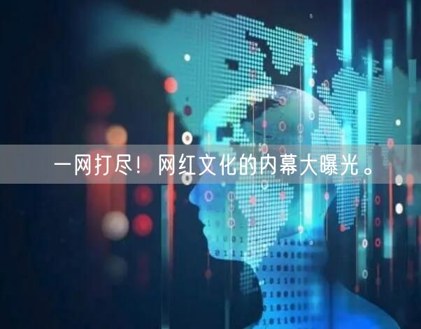 一网打尽！网红文化的内幕大曝光。