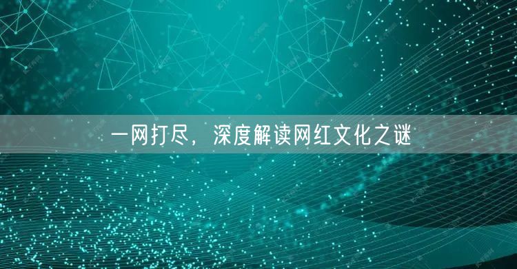 一网打尽，深度解读网红文化之谜