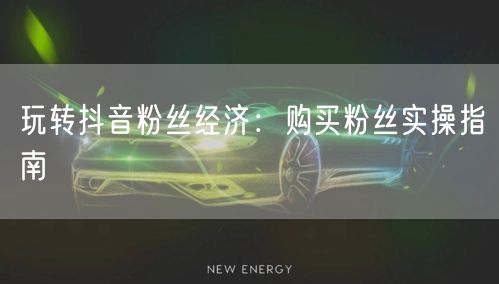 玩转抖音粉丝经济：购买粉丝实操指南