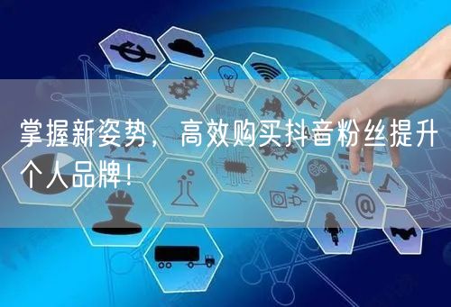 掌握新姿势，高效购买抖音粉丝提升个人品牌！