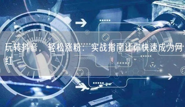 玩转抖音，轻松涨粉：实战指南让你快速成为网红
