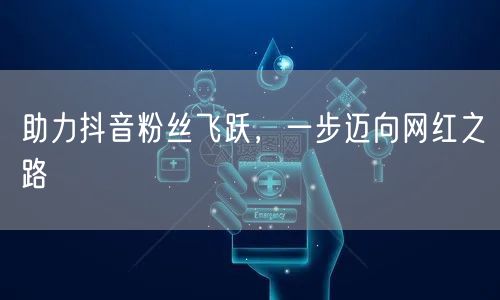 助力抖音粉丝飞跃，一步迈向网红之路