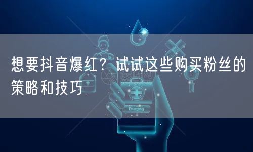 想要抖音爆红？试试这些购买粉丝的策略和技巧