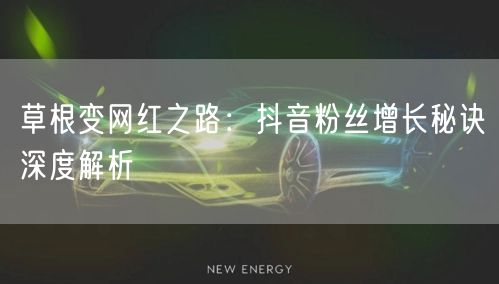草根变网红之路：抖音粉丝增长秘诀深度解析