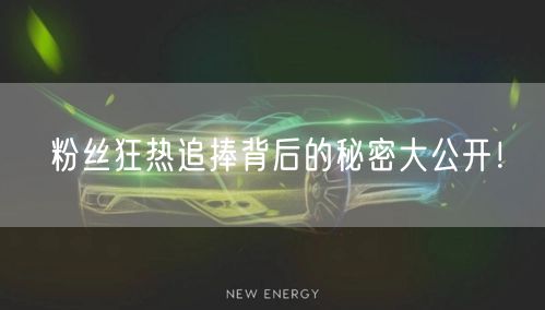 粉丝狂热追捧背后的秘密大公开！