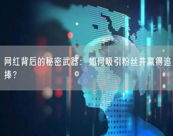 网红背后的秘密武器：如何吸引粉丝并赢得追捧？