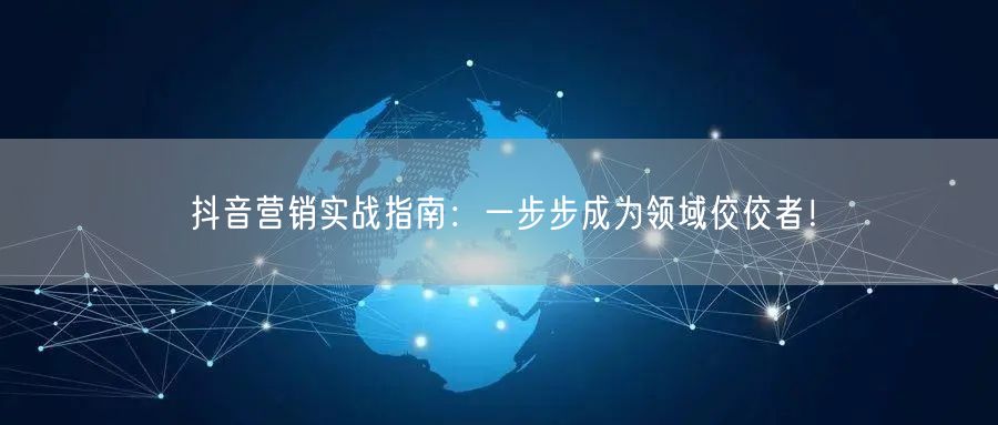 抖音营销实战指南：一步步成为领域佼佼者！