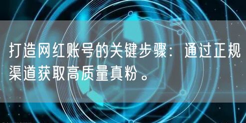 打造网红账号的关键步骤：通过正规渠道获取高质量真粉。