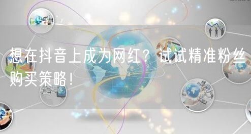 想在抖音上成为网红？试试精准粉丝购买策略！