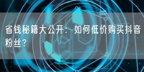 省钱秘籍大公开：如何低价购买抖音粉丝？