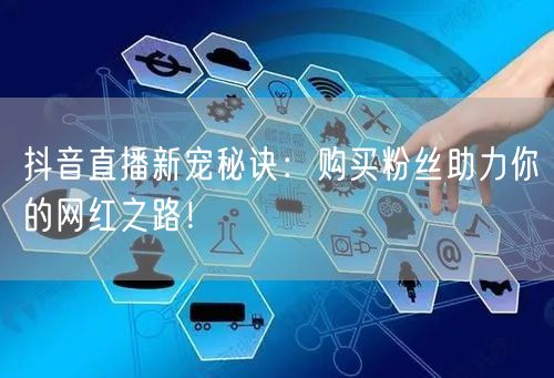 抖音直播新宠秘诀：购买粉丝助力你的网红之路！