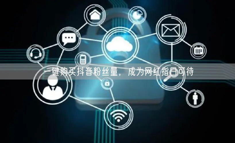 一键购买抖音粉丝量，成为网红指日可待