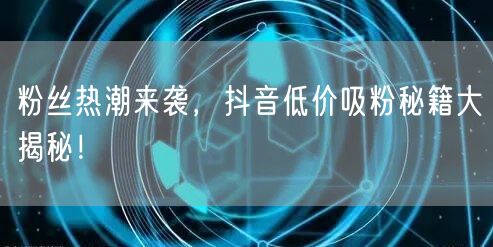 粉丝热潮来袭，抖音低价吸粉秘籍大揭秘！