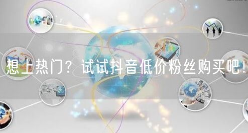 想上热门？试试抖音低价粉丝购买吧！